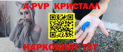 спайс Малгобек