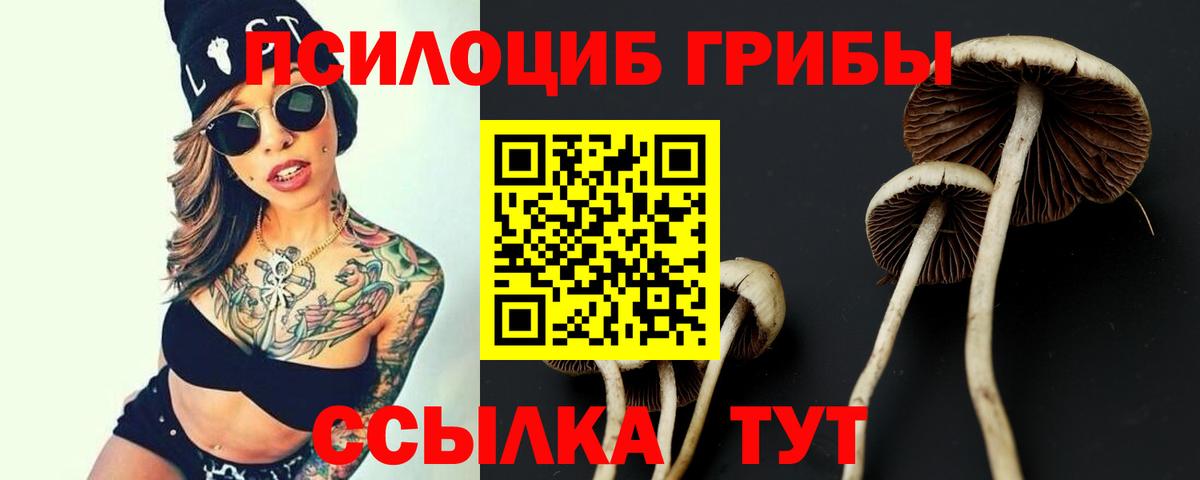 Видное  Псилоцибиновые грибы мухоморы  Вход с VPN 